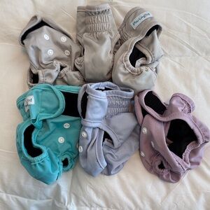 Set of 6 Dog Diapers  XSmall